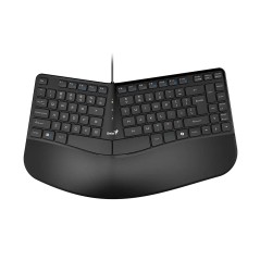 Teclado Genius Ergo KB-700 Copilot USB Negro
