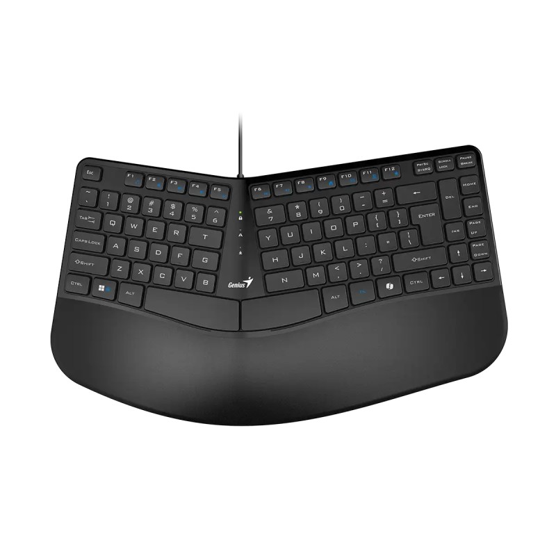 Teclado Genius Ergo KB-700 Copilot USB Negro Teclado Genius Ergo KB-700 Copilot USB Negro