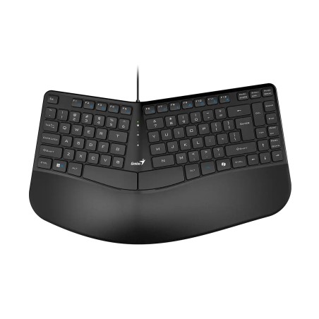 Teclado Genius Ergo KB-700 Copilot USB Negro